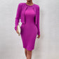 Women's Stylish Temperament Long Sleeves Top Round Neck Sheath Dress Suit