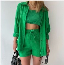 Spring Champray Lapel Long Sleeve Shirt High Waist Drawstring Shorts Plus Size Fashion Casual Set